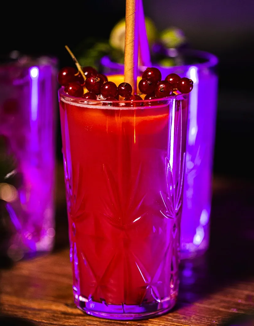 Unzerbrechliche Premium Highball Gläser aus Kunststoff (Polycarbonat) 46 cl – GraMonty – Bild 8