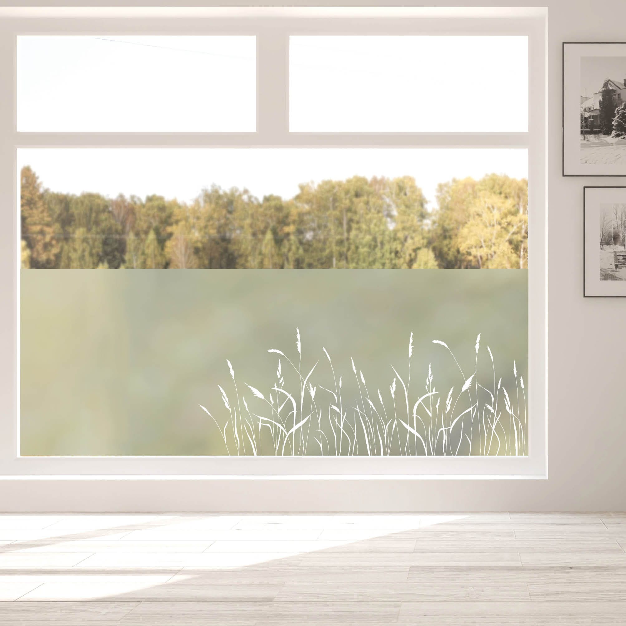 Sichtschutzfolie Gräser Fensterfolie Fensterdeko Milchglasfolie Sichtschutz – Bild 3